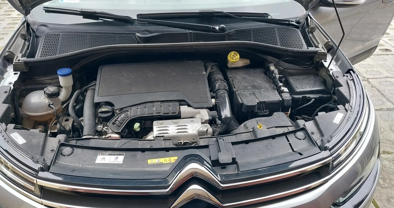 Citroen C4 Cactus cena 49000 przebieg: 41000, rok produkcji 2019 z Rzeszów małe 56